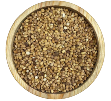 Tane Mahlep 1KG