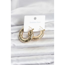 316L Çelik Gold Renk Bambu Model Halka Kadın Küpe TJ-BKP11828