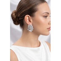 Gümüş Renk Zirkon Taşlı Çiçek Model Kadın Abiye Küpe TJ-BKP11897