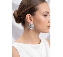 Gümüş Renk Zirkon Taşlı Çiçek Model Kadın Abiye Küpe TJ-BKP11897