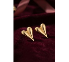 316L Çelik Gold Renk Kalp Model Küpe TJ-BKP12015