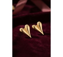 316L Çelik Gold Renk Kalp Model Küpe TJ-BKP12015