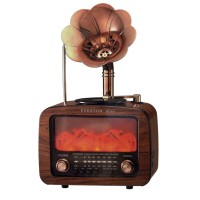 Şömineli Gramofonlu Radyo RT-651
