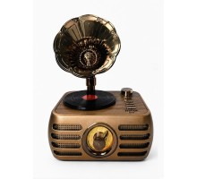 Nostaljik Şarjlı Bluetooth Fm Radyo & Işıklı Gramofon Hoparlör RT-704