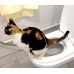 toptan-xml-dropshipping-Citi Kitty Kedi Tuvalet Eğitim Seti