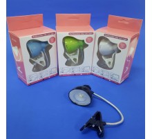 Mandalli Masa Lambasi