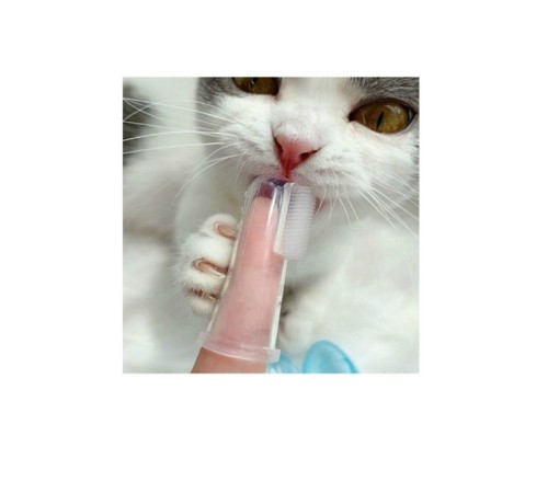 toptan-xml-dropshipping-Kedi Köpek Diş Temizleme Fırçası